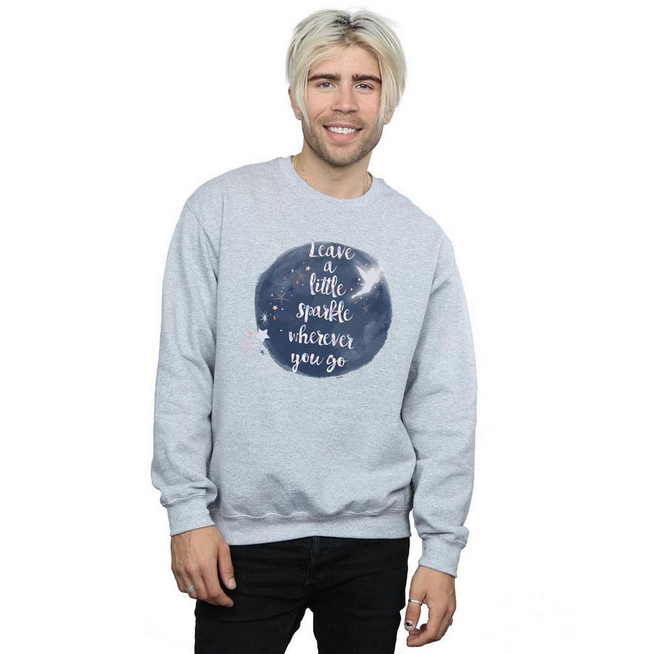 Disney A Little Sparkle Sweatshirt  
