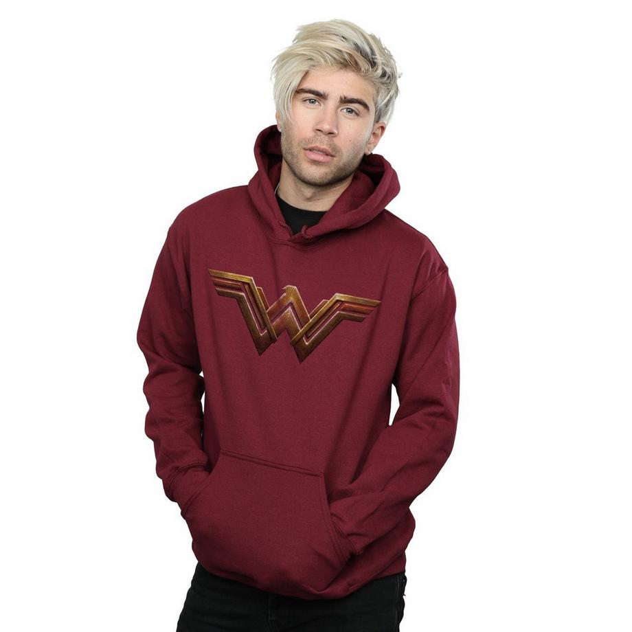 DC COMICS Justice League Logo Sweat à Capuche  