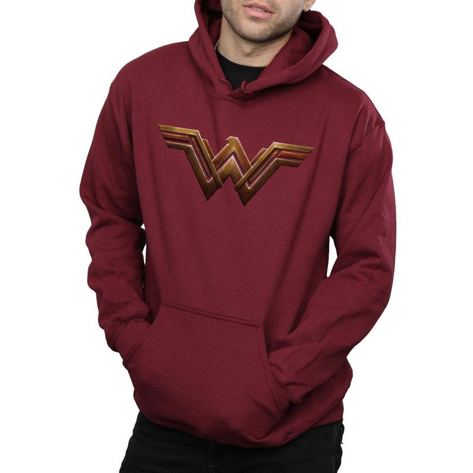 DC COMICS Justice League Logo Sweat à Capuche  