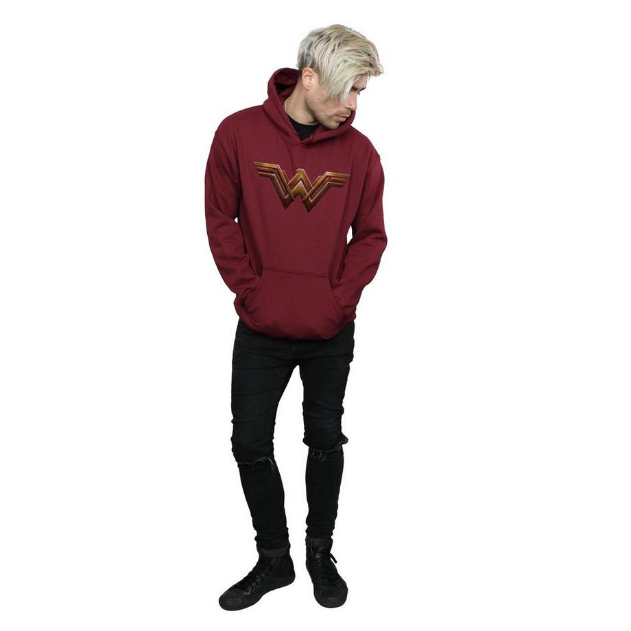 DC COMICS Justice League Logo Sweat à Capuche  