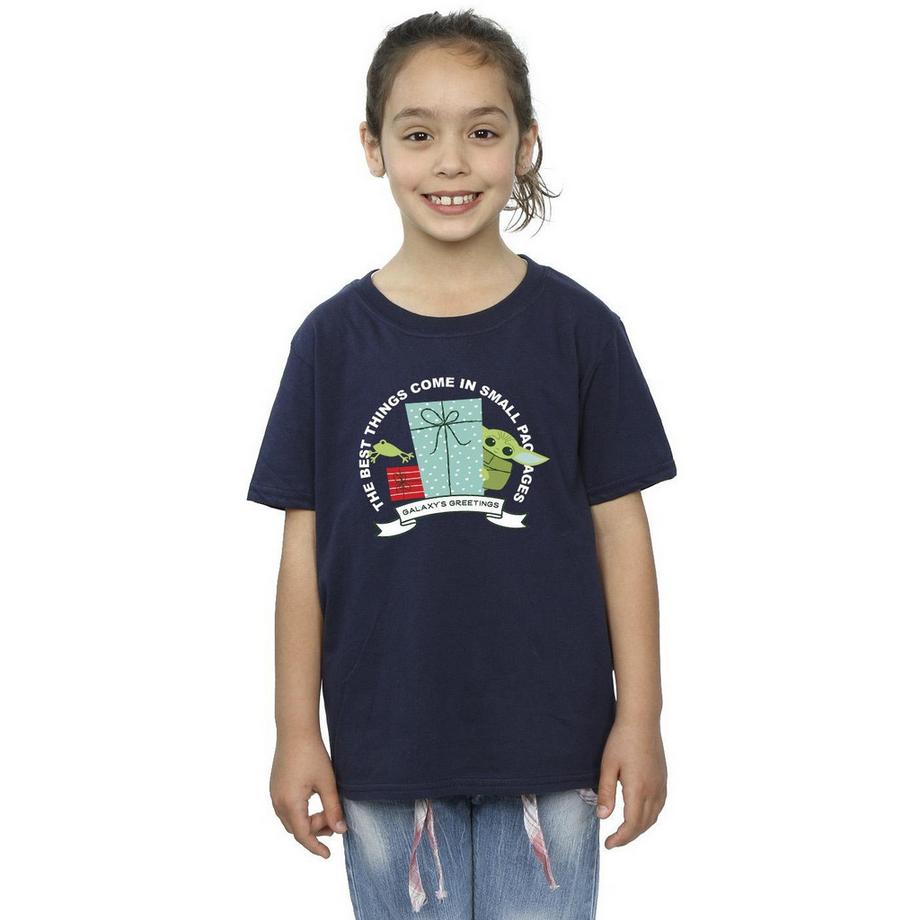 STAR WARS  The Mandalorian Galaxy's Greetings TShirt 