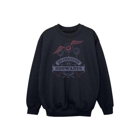 HARRY-POTTER  Quidditch At Hogwarts Sweatshirt 