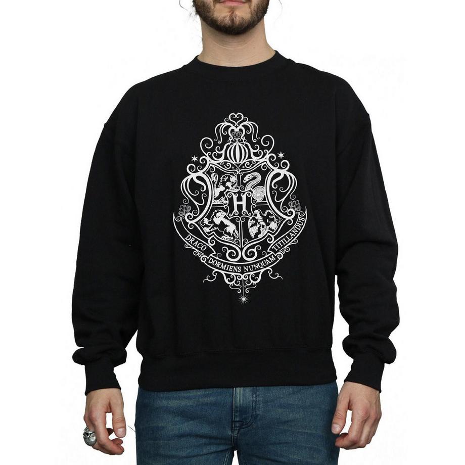 HARRY-POTTER Hogwarts Draco Dormiens Sweatshirt  