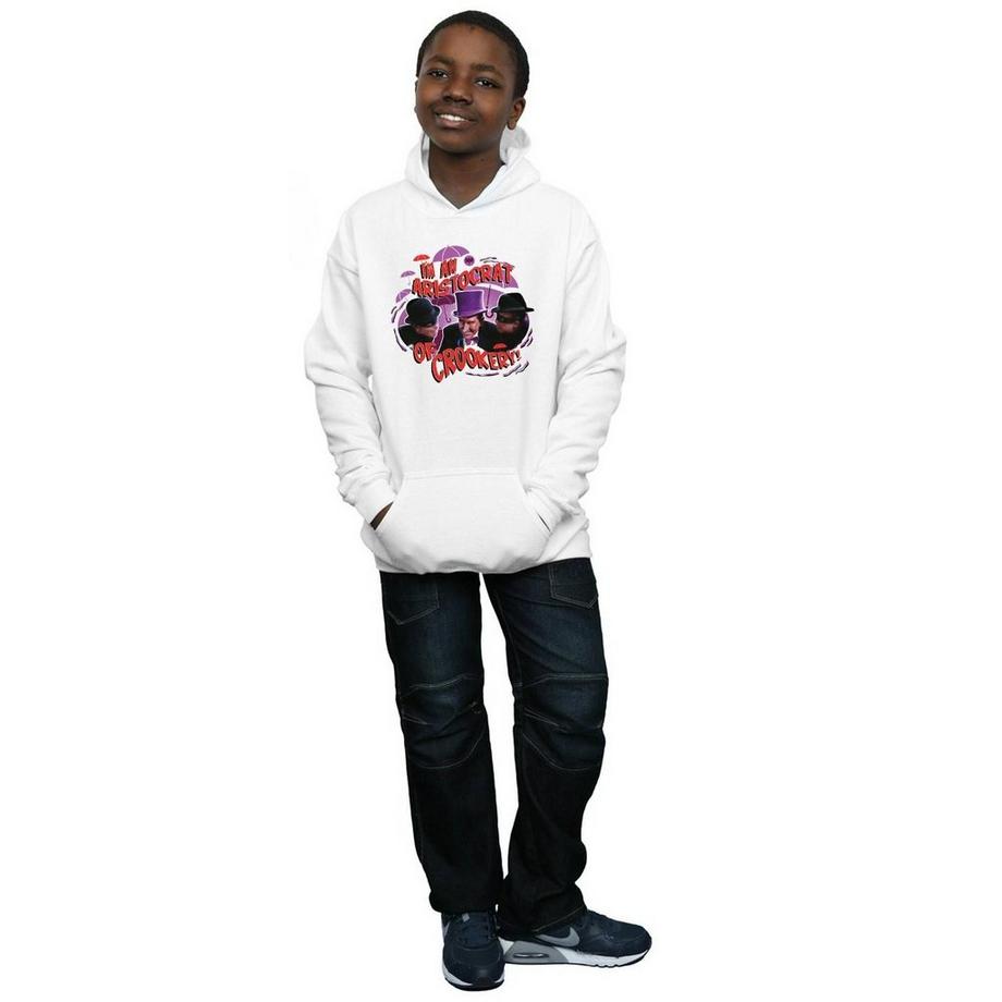 DC COMICS  Sweat à capuche 