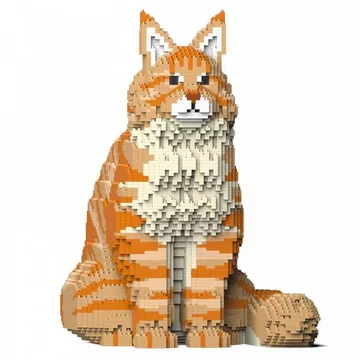 Maine Coon Katze