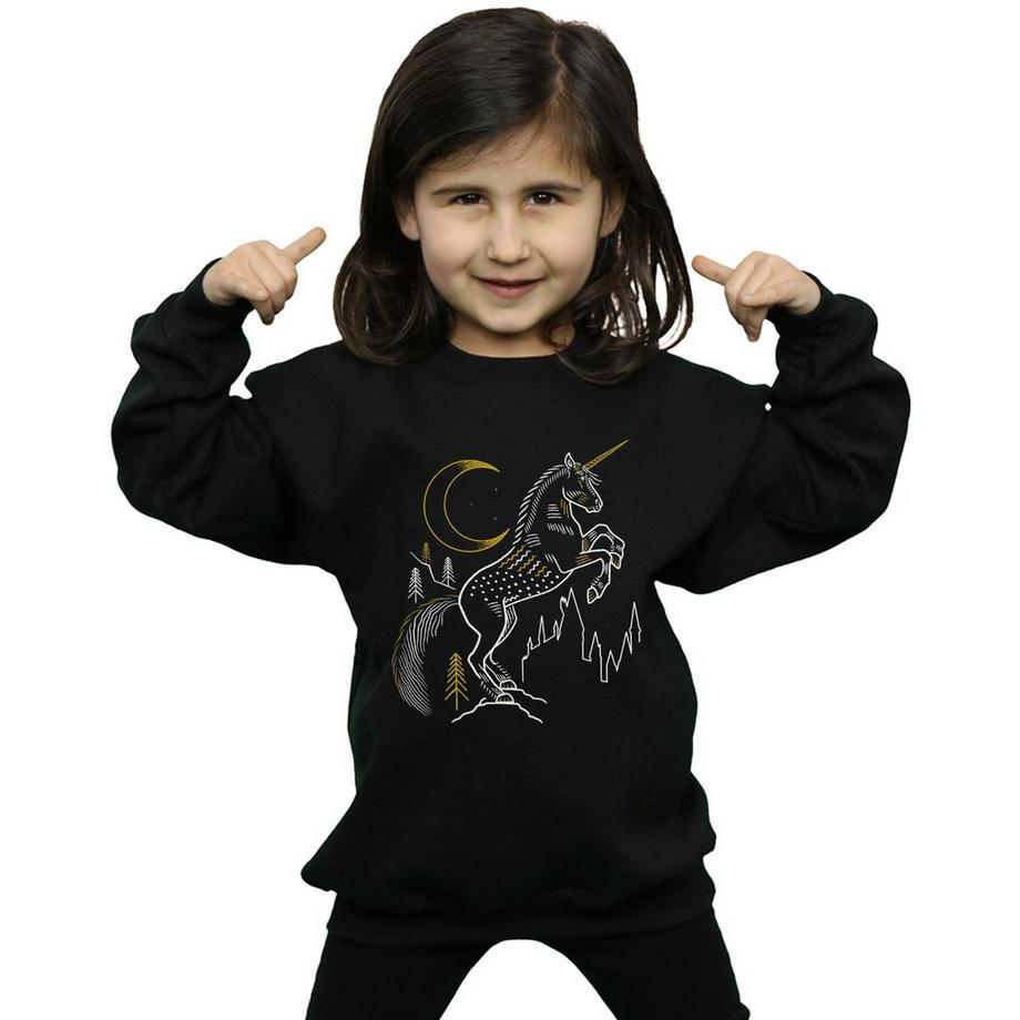 Harry Potter  Sweatshirt 