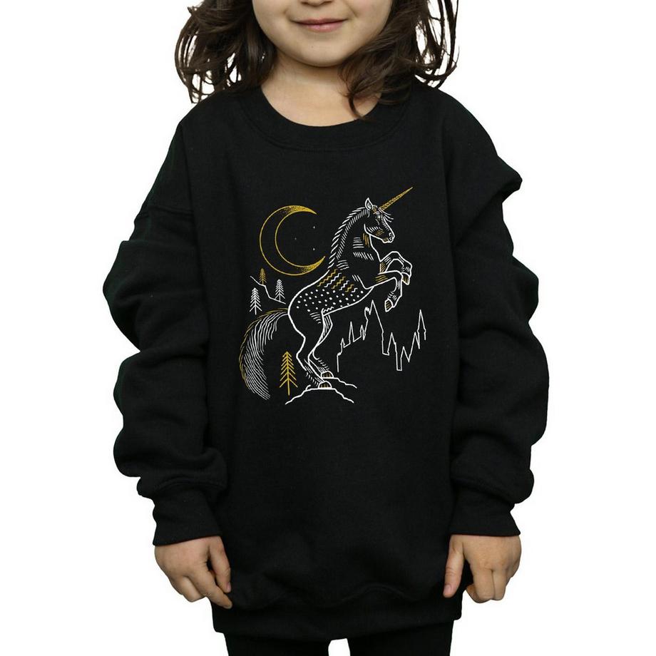 Harry Potter  Sweatshirt 