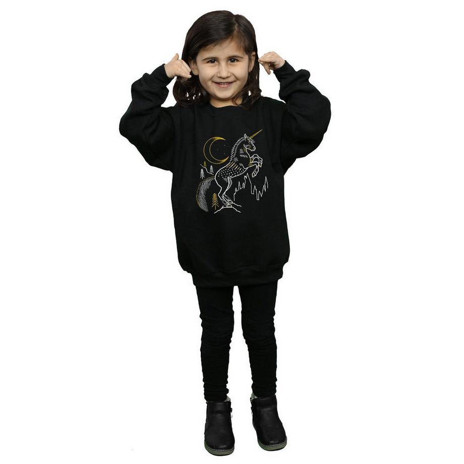 Harry Potter  Sweatshirt 