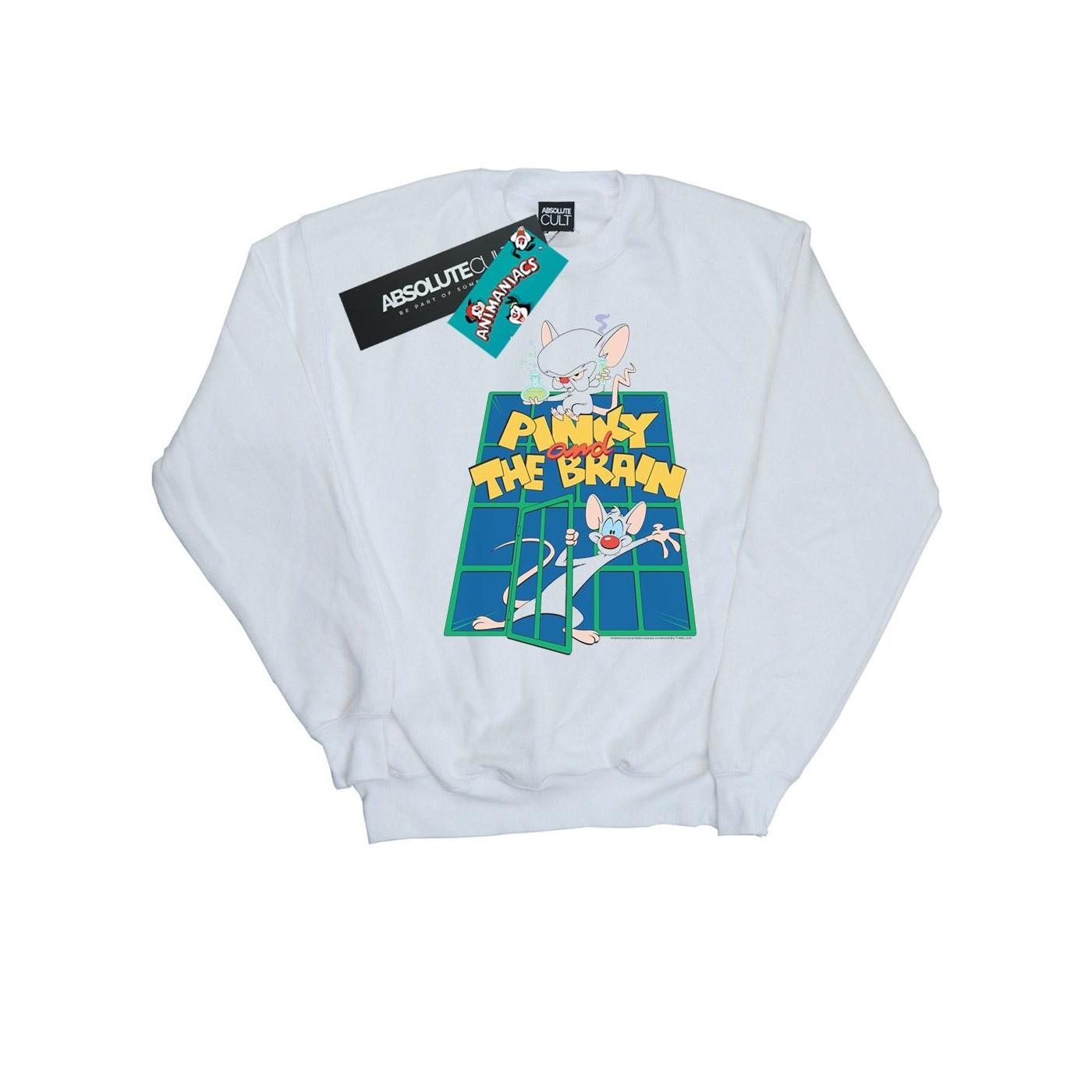 Animaniacs  Sweatshirt 