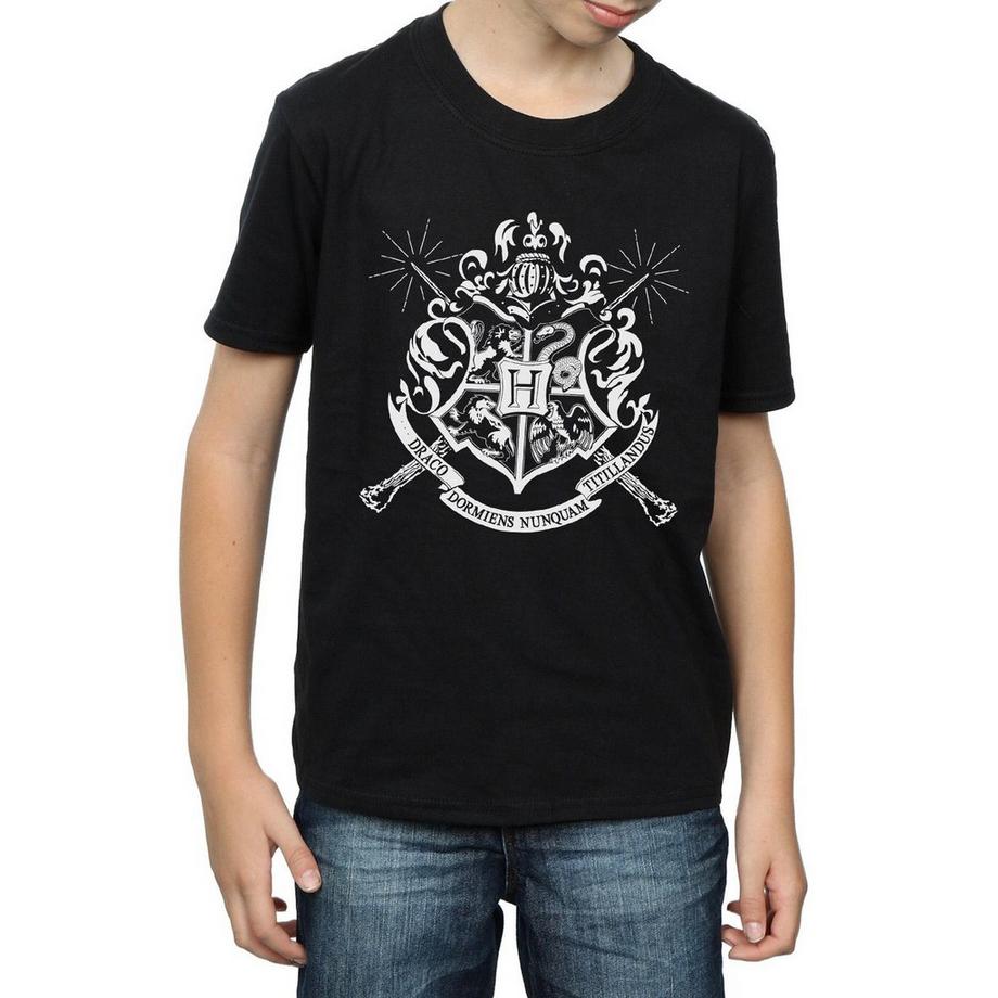 Harry Potter  TShirt 