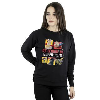 DC COMICS  DC League Of SuperPets Sweatshirt 