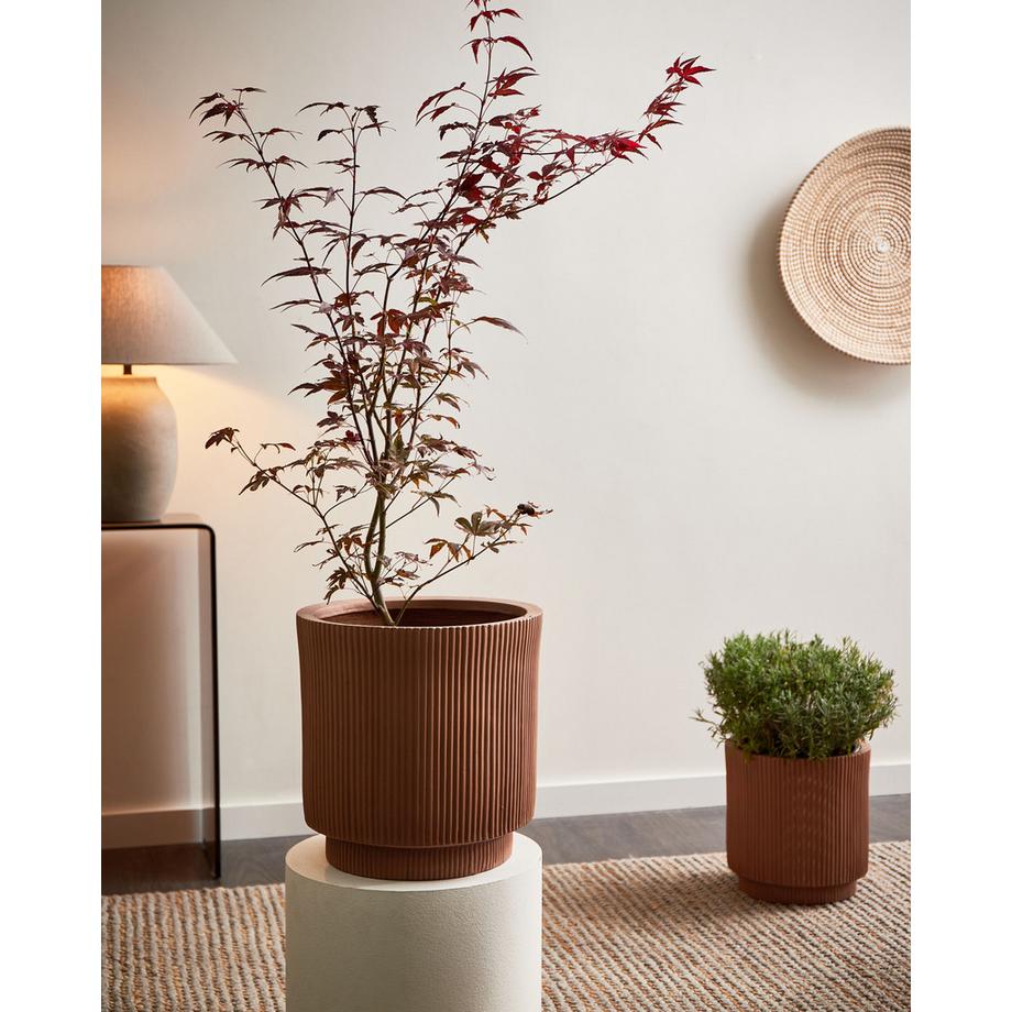 Beliani Vaso per piante en Fibra d'argilla  DARIA  