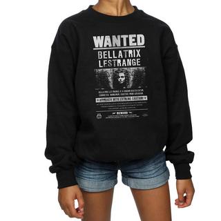 Harry Potter  Sweat WANTED 