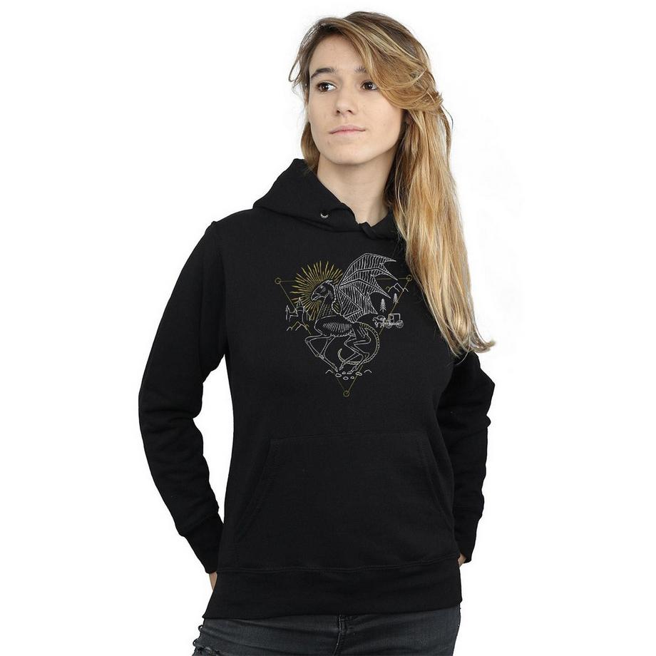Harry Potter Sweat à capuche Dragon  