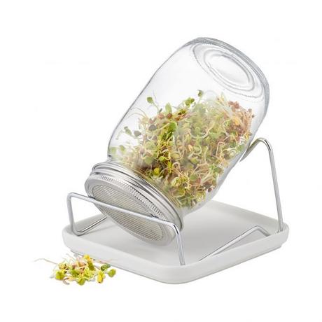 B2X Verre vaporisateur avec cadre et bol  