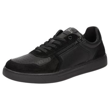 Sneaker Tertulio-700-H
