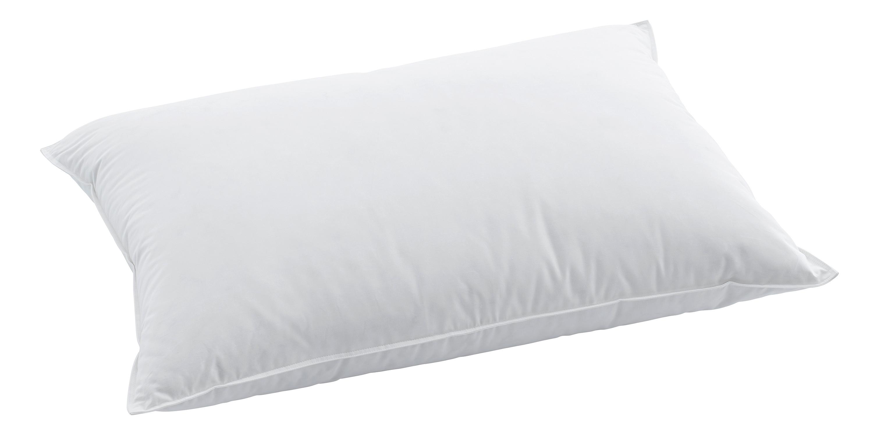 Swiss Dream Oreiller Soft Pillow Classic 90  