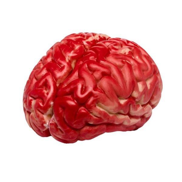 Playmags Magnacube cerveau