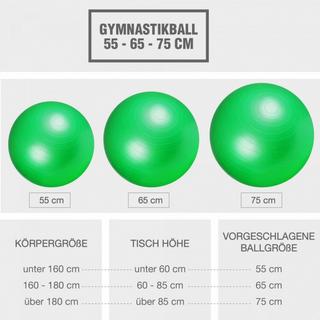 Gorilla Sports  SWISS BALL | BALLON DE GYM | DIAM 55 CM | COLORIS AU CHOIX 