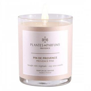 Plantes & Parfums Duftkerze Pin de Provence 180 g  