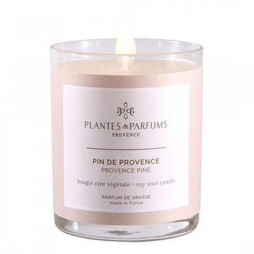 Duftkerze Pin de Provence 180 g