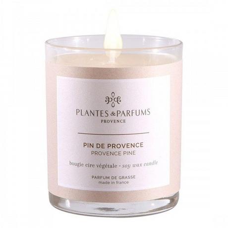 Plantes & Parfums Duftkerze Pin de Provence 180 g  