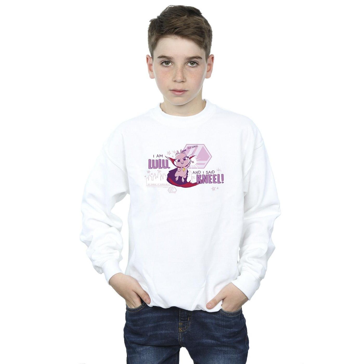 DC COMICS  DCs DC League Of SuperPets Evil Genius Sweatshirt 