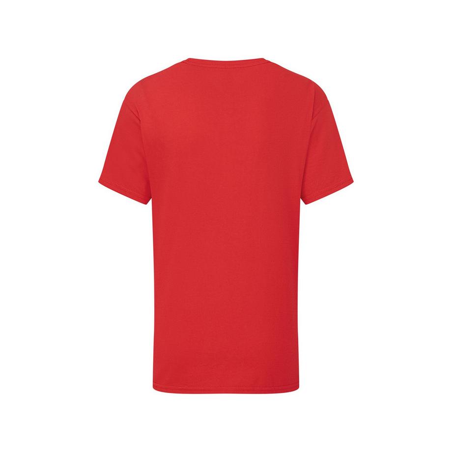 Fruit of the Loom  Iconic 195 TShirt 