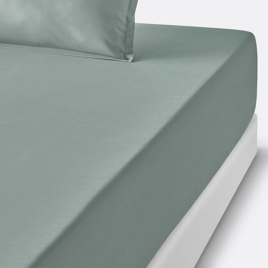 Drap housse percale coton