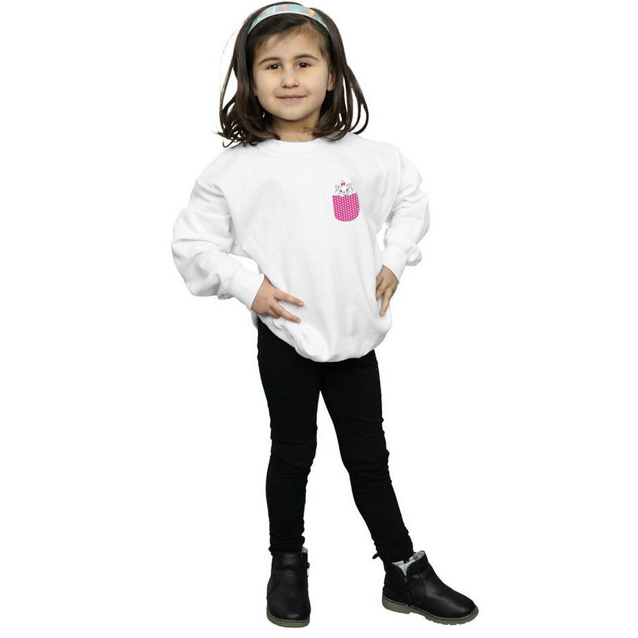 Disney  Aristocats Sweatshirt 