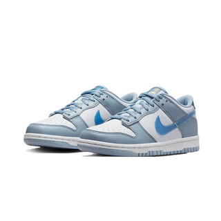 NIKE  Dunk Low Hologram 