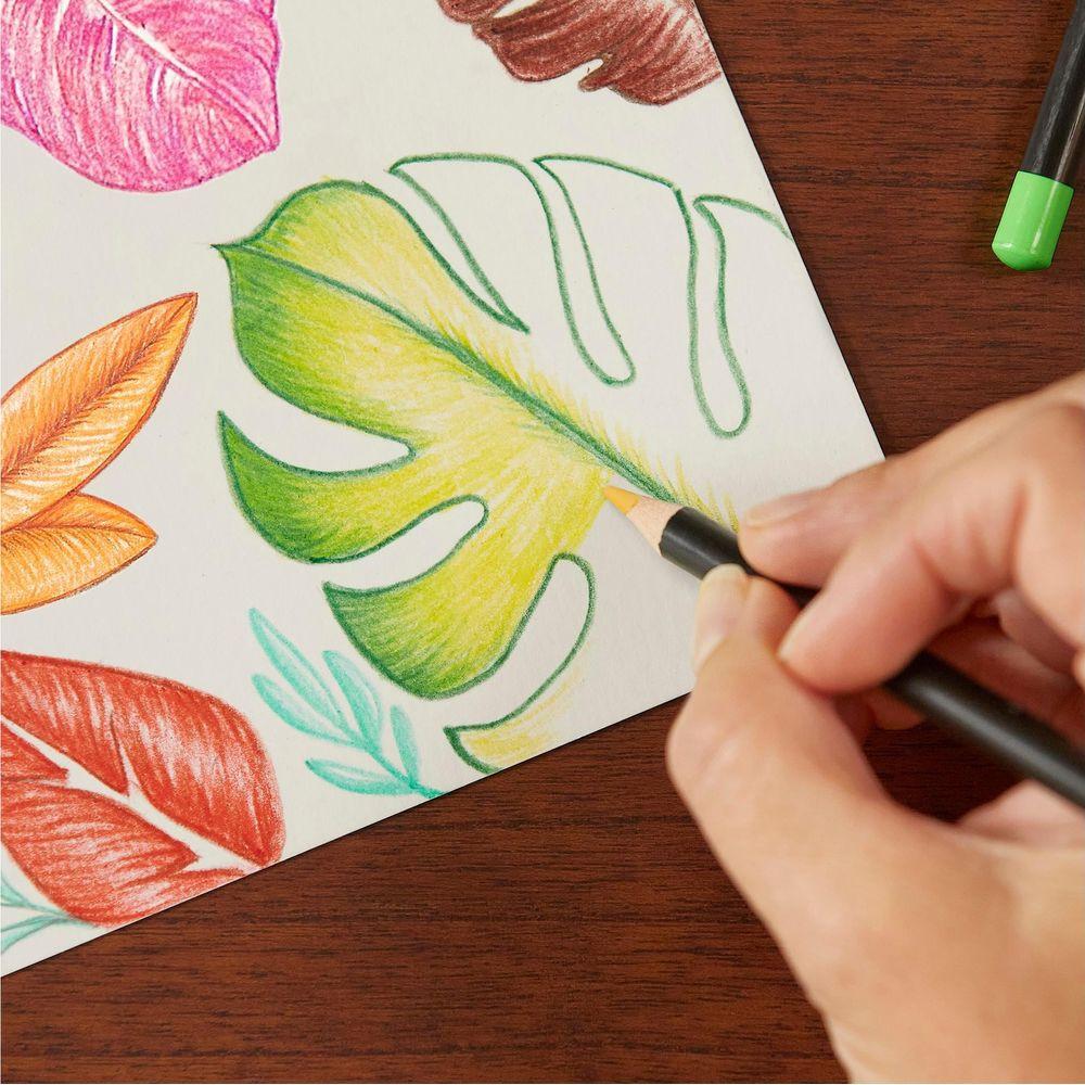 BiC BIC Intensity Premium Ametista (colore), Nero, Blu, Marrone, Corallo, Verde, Azzurro, Verde chiaro, Rosa chiaro, Lime, Blu metallizzato, Arancione, Rosa, Viola, Rosso, Rosa, Colore vaniglia, Viola, Bianco, Giallo 36 pz  