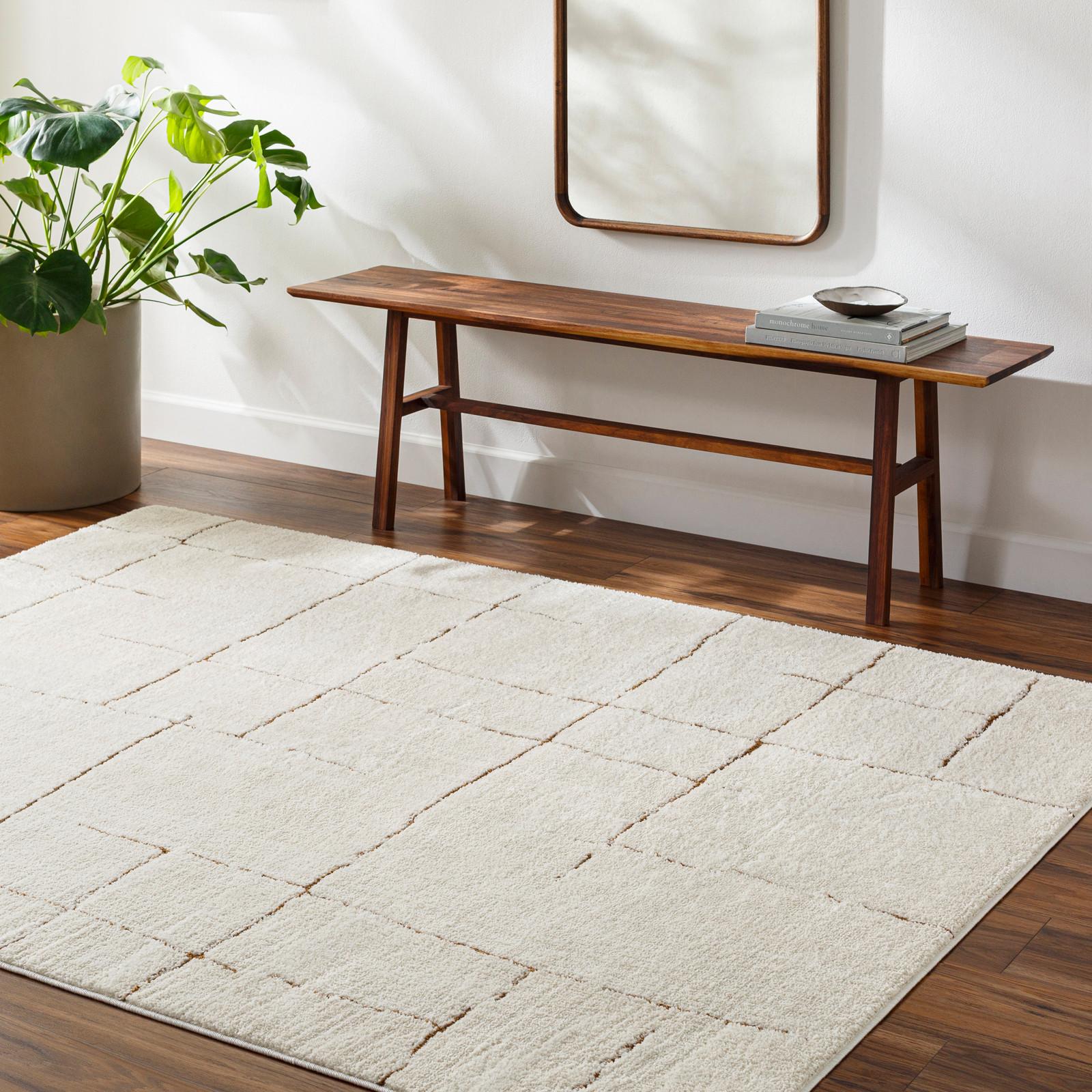 LIVABLISS Tapis Scandinave Moderne AVA  