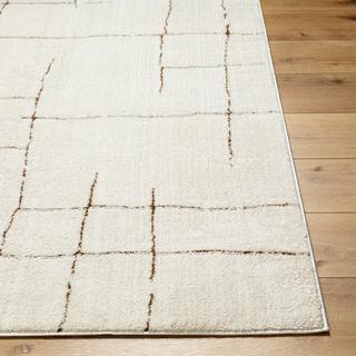 LIVABLISS Tapis Scandinave Moderne AVA  