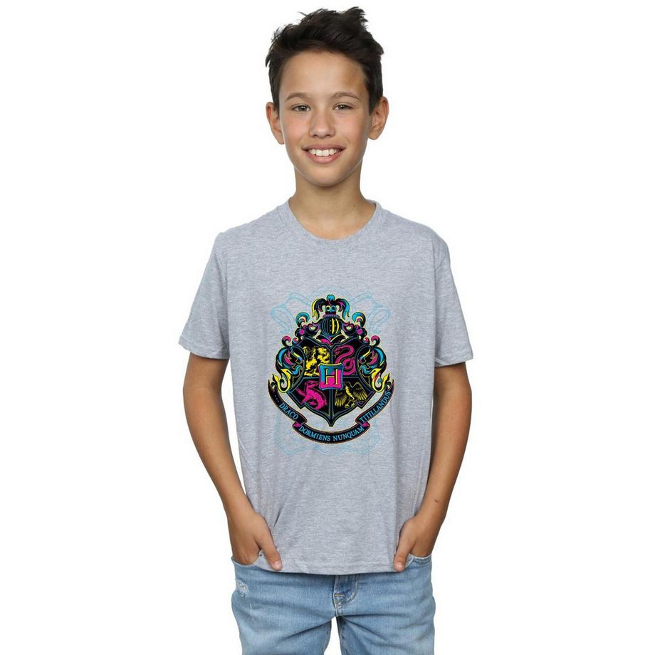 Harry Potter  Hogwarts TShirt 