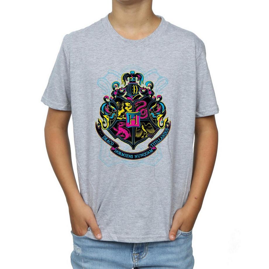 Harry Potter  Hogwarts TShirt 