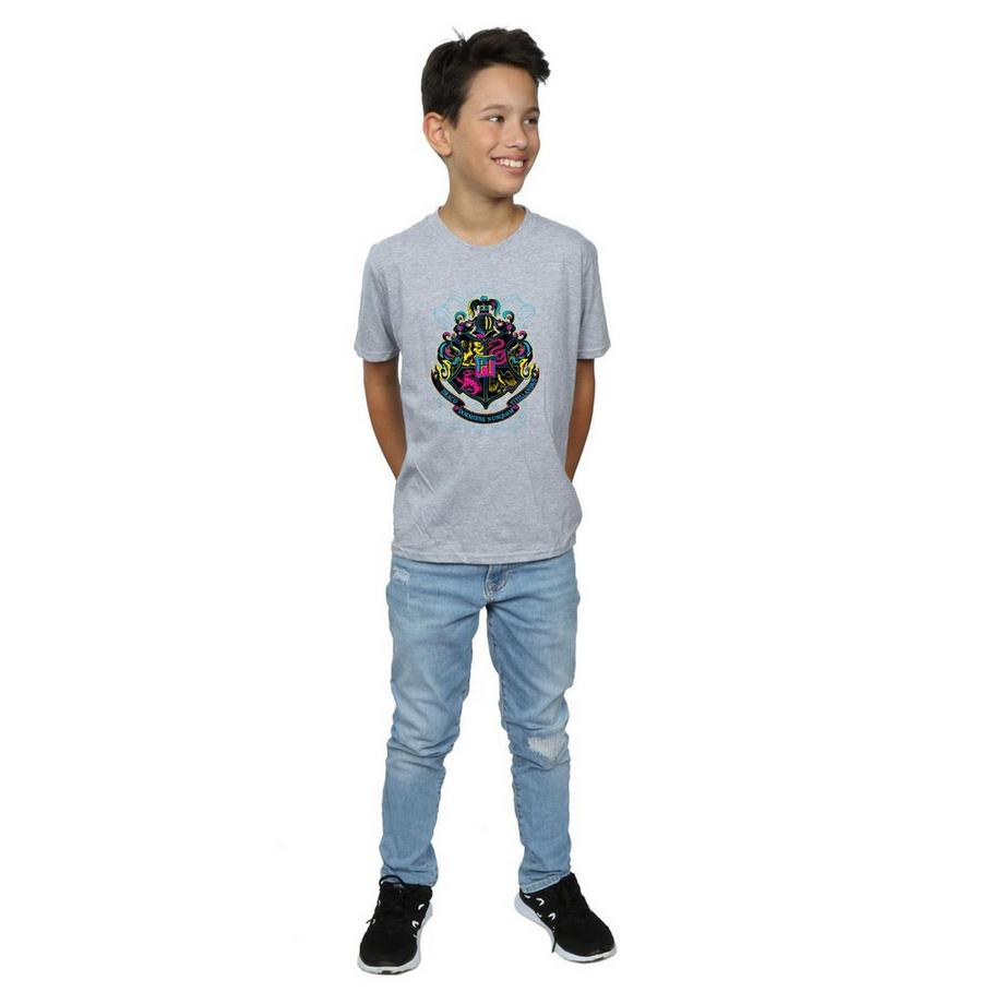 Harry Potter  Hogwarts TShirt 