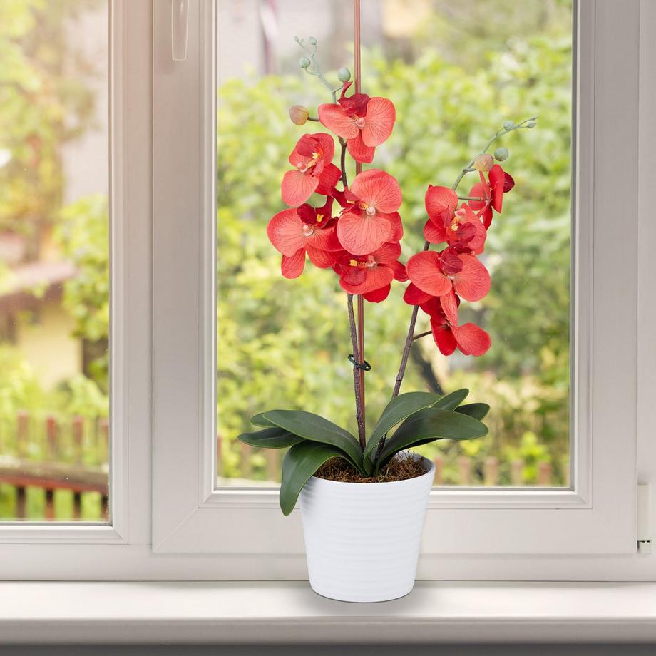 B2X Pflanzenringe 300er Set  