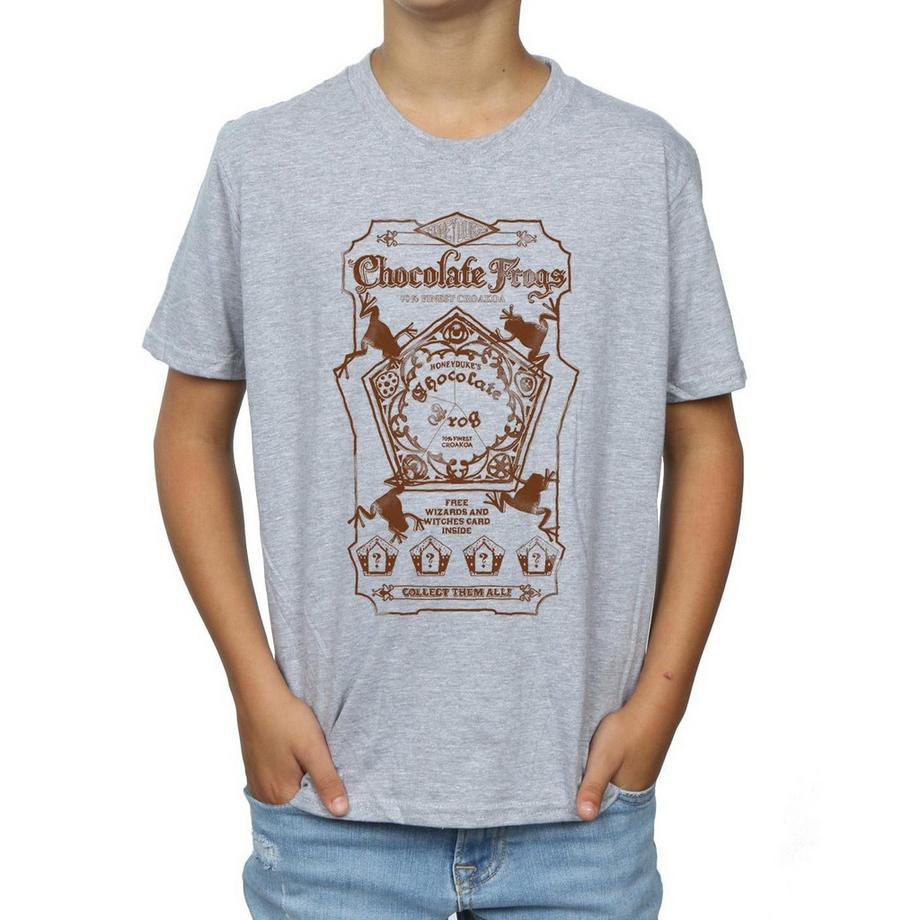 Harry Potter  TShirt 