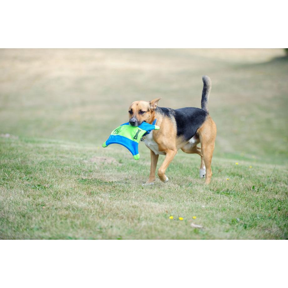 Chuckit  Chuckit Flughörnchen M 35 cm 