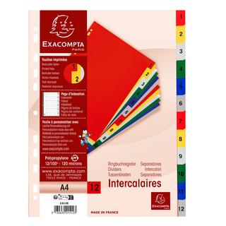 Exacompta Divisori numerici 12 tasti 1-12 polipropilene colori A4 120 micron - A4 A4 - x 20  