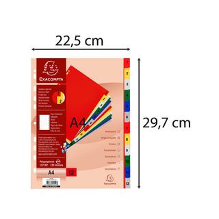 Exacompta Divisori numerici 12 tasti 1-12 polipropilene colori A4 120 micron - A4 A4 - x 20  