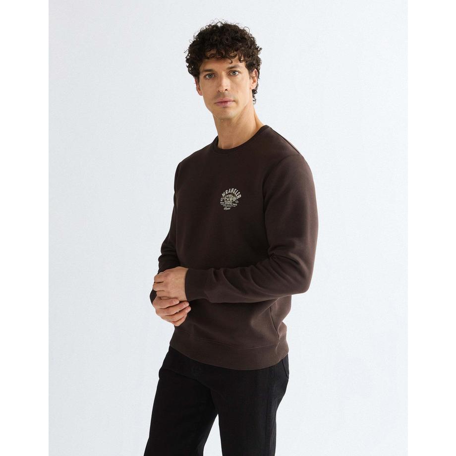 Sweatshirt Small Graphic