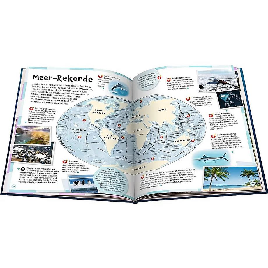 Der große Ravensburger Weltatlas für Kinder - Ideales Geschenk zur Einschulung- fremde Länder und Kulturen kennenlernen - Lernen - Reisen planen Schwendemann, Andrea; Windecker, Jochen (Illustrationen); Bitter, Ralf (Illustrationen) Gebundene Ausgabe 