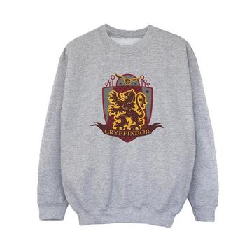 Gryffindor Sweatshirt