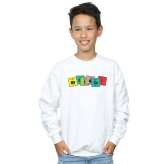 The Big Bang Theory  Sweat BAZINGA 