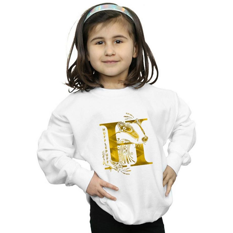 Harry Potter  Hufflepuff Sweatshirt 