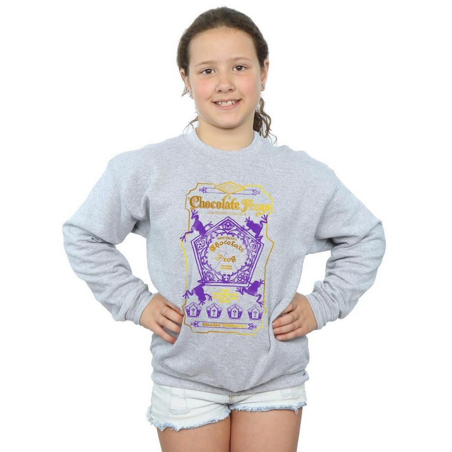Harry Potter  Sweatshirt 