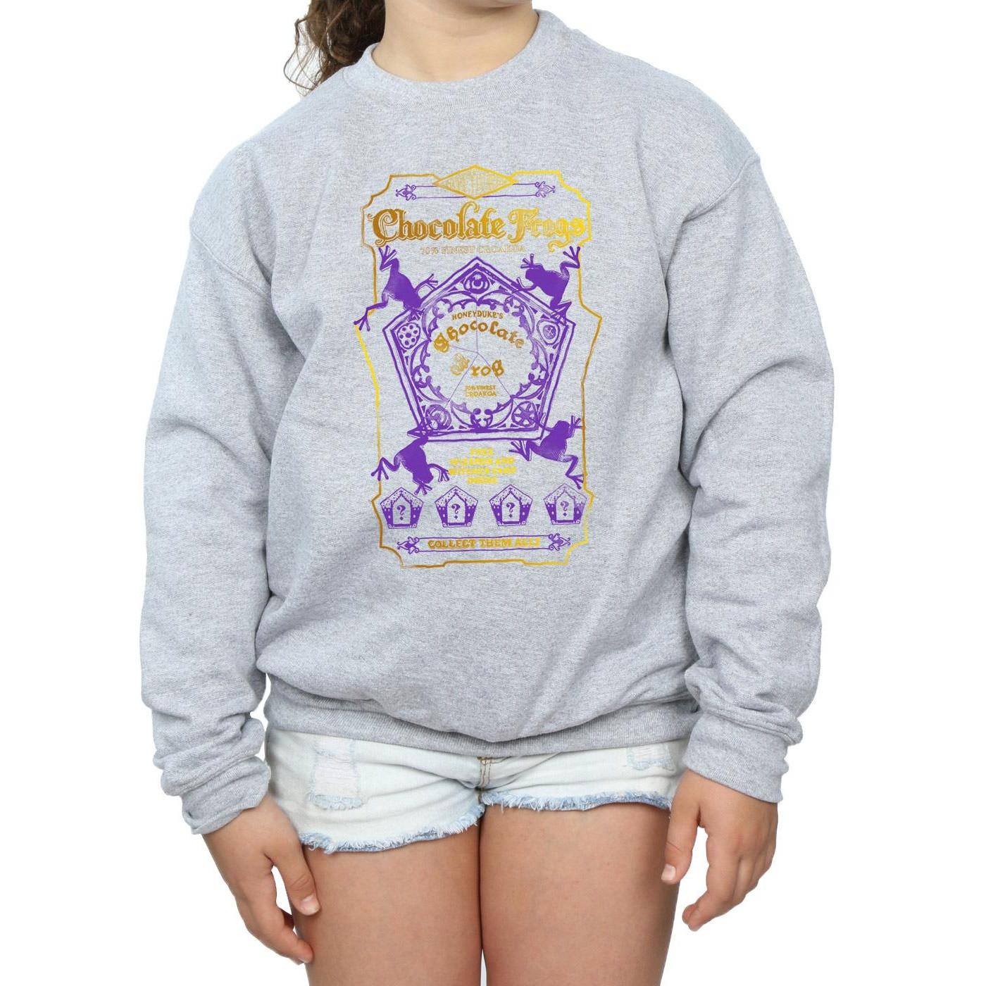 HARRY-POTTER  Sweatshirt 