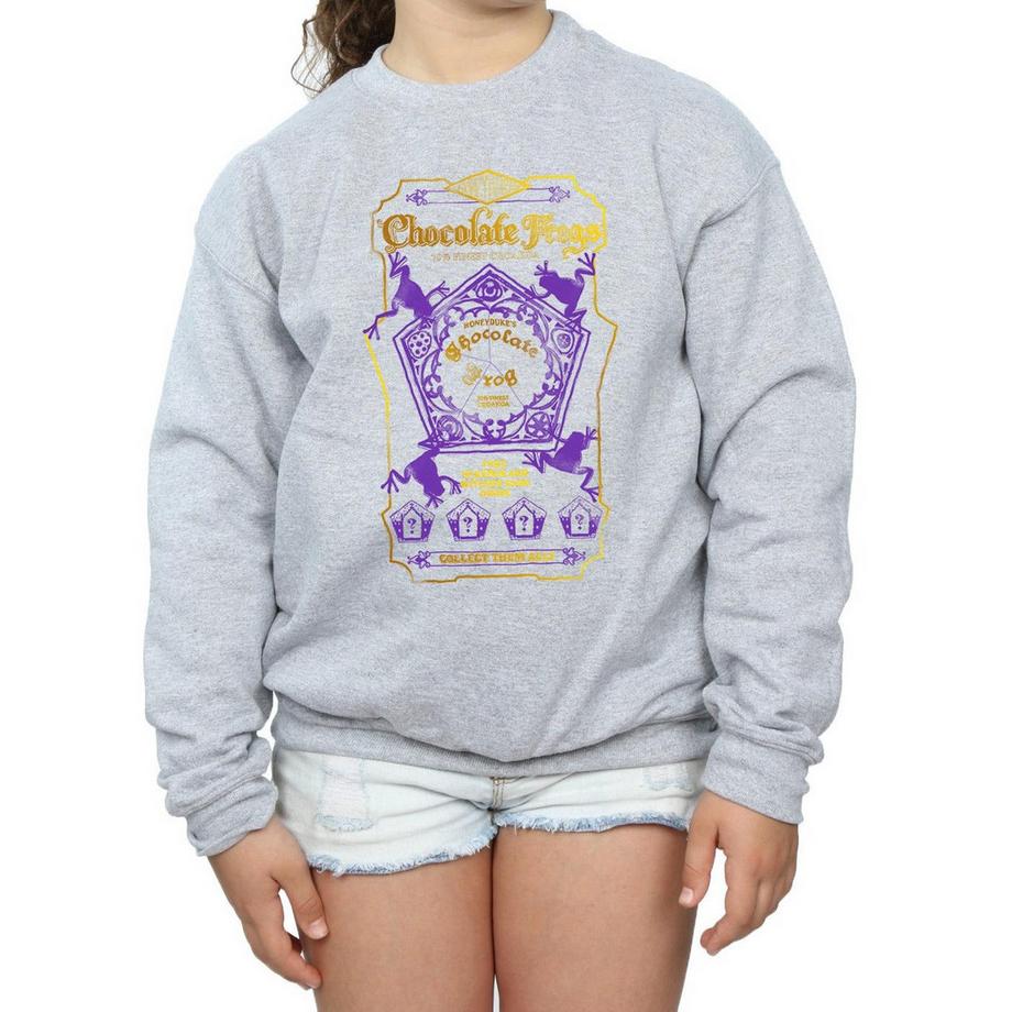 Harry Potter  Sweatshirt 
